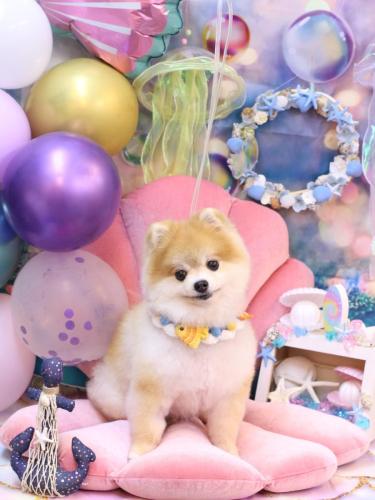 20240824モコちゃん